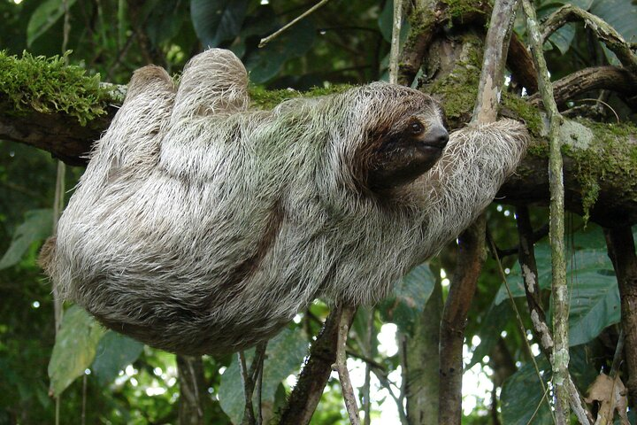 La Fortuna Night Tour - Private - Photo 1 of 19